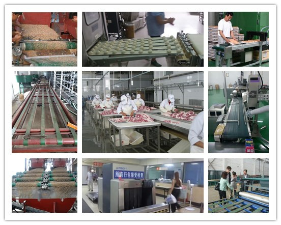 安耐分类 安耐分类