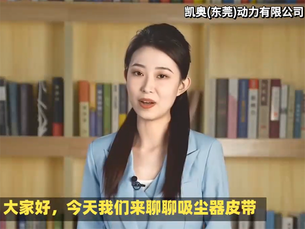 吸尘器皮带